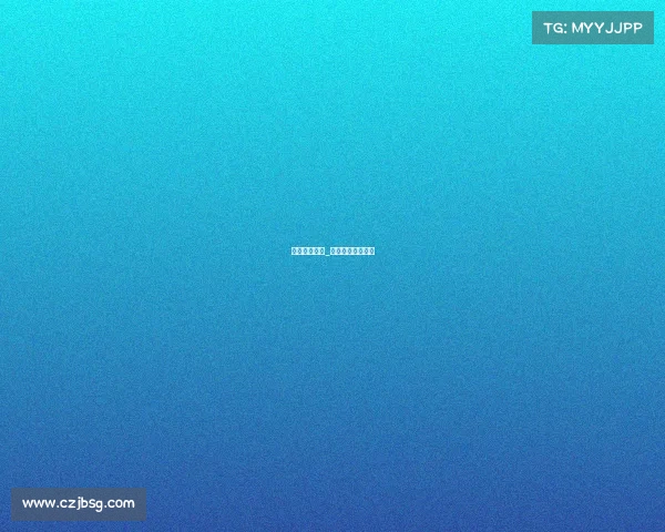 电子竞技披风_电子竞技身披国旗